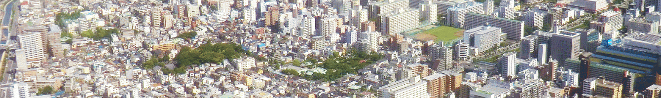 都市緑地